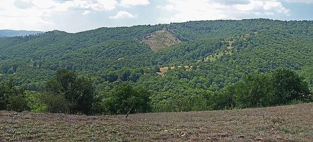Panorama van de bergen van Ograzden