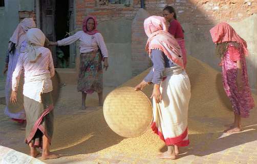 Pleintje in Patan waar de rijst gedroogd wordt