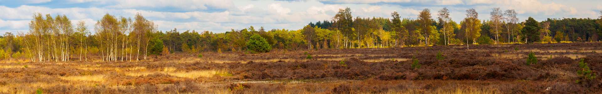 Klik om de knoppen te tonen of te verbergen