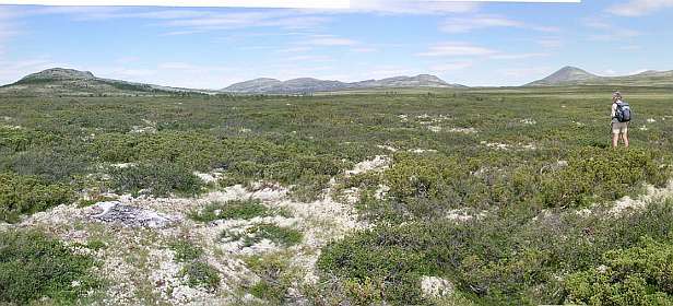 Uitzicht over de fjell met in de achtergrond links de Veslefjellet en rechts de Muen
