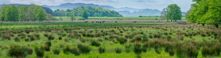 230522-114012_Schotland-Pano