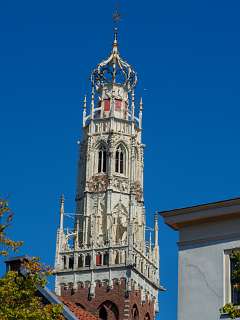 De toren van de [St.-Bavokerk](http://bavovrienden.nl/rondleidingen/torenbeklimming^)