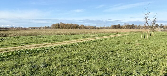 12: IMG_7591<br>Als je hier naar rechts gaat dan kom je op de andere  Meulenbelt route  en op het  Ommetje Lateraal kanaal .