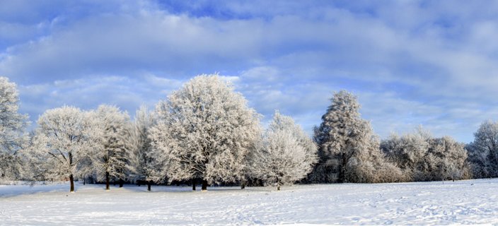 Winter in het Schelfhorstpark