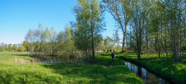 De Spikkersbeek wordt later de Loolee die langs Almelo stroomt