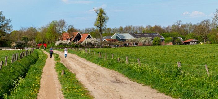 Skyline van Rossum