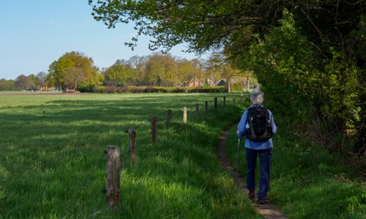 Hier volgen we de paarse markeringen van Stuwwalroute