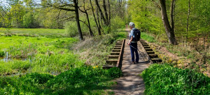 Nu volgen we ook de voormalige trambaan Oldenzaal Denekamp