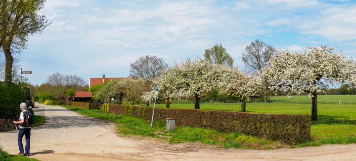 Terug in Rossum