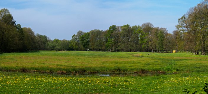 Landgoed Baasdam
