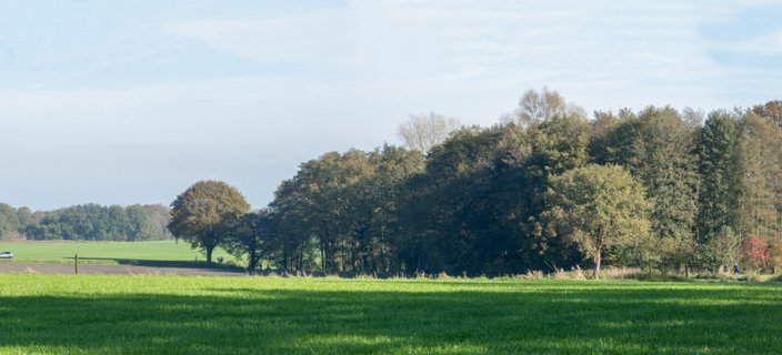 Deel van het gele spoor