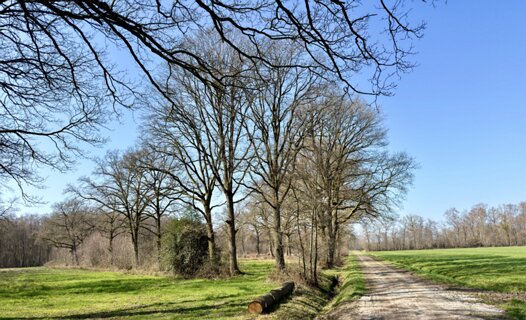 2: IMG_0129<br>Hier begint de Reutumer Weuste