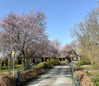 De Reutumer Weuste - 2