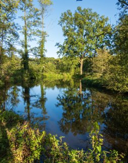 Watermolen reservoir gevoed door de Hazelbekke