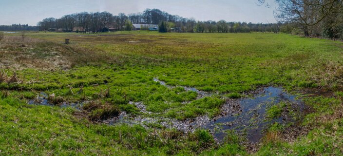 35: 210329-114758_Springendal_4<br>Later in het jaar groeien hier Orchideeën, zie  hier .