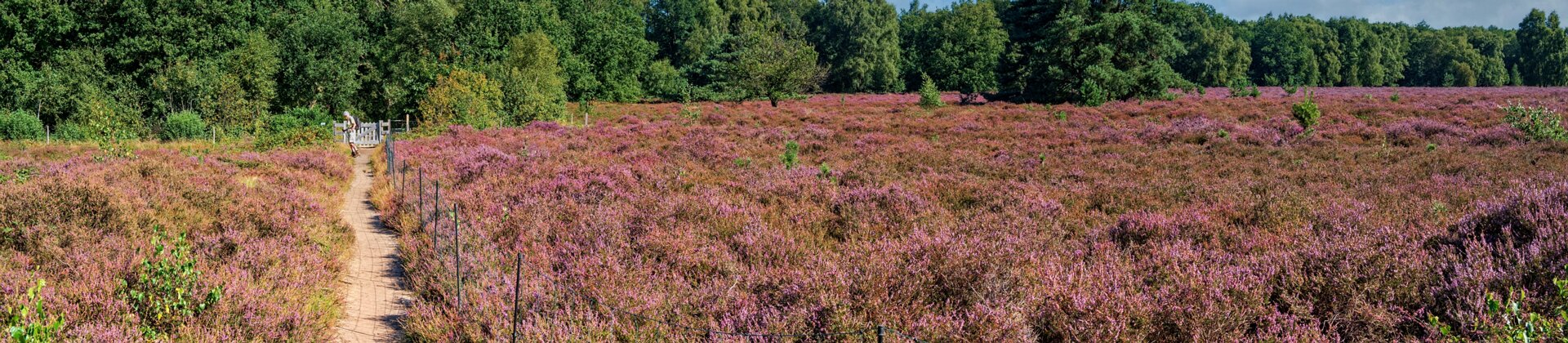 Klik om de knoppen te tonen of te verbergen