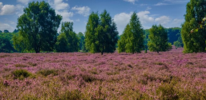 7: 250818-105816_Paardeslenk