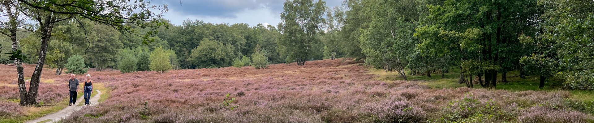 Klik om de knoppen te tonen of te verbergen