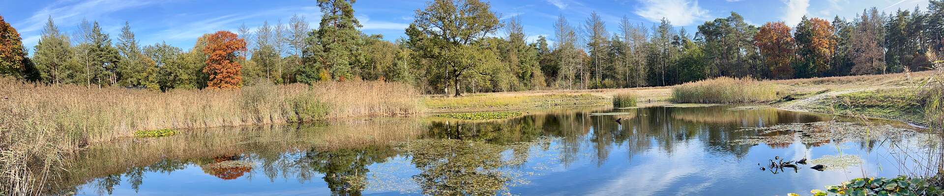 Klik om de knoppen te tonen of te verbergen