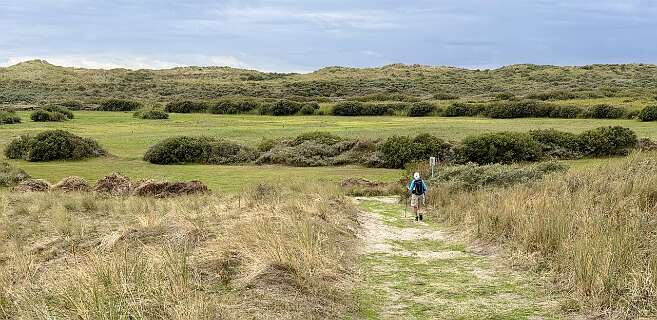We steken nu rechtover (geen officieel pad) en gaan de duin in de verte over.