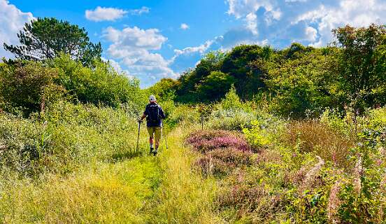 Hier wordt het een wildernis pad