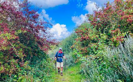 Veel bessen en zelfs appelboompjes kwamen we tegen