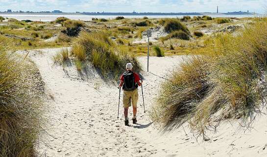 Hier gaan we de Hors op