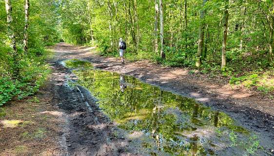 Grote plassen door de vele regen