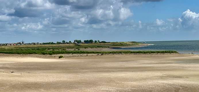 Links de molen van Oudeschild