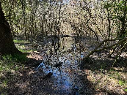 Veel wateroverlast