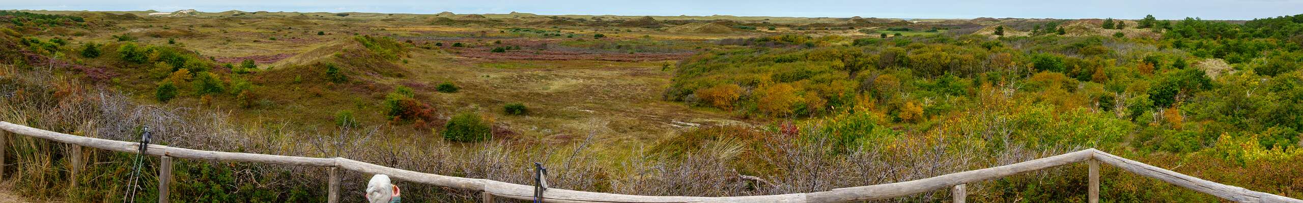 Klik om de knoppen te tonen of te verbergen