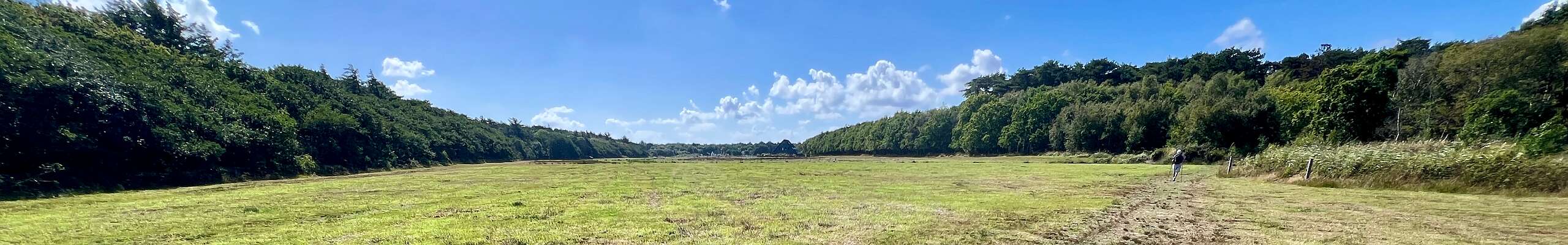 Klik om de knoppen te tonen of te verbergen