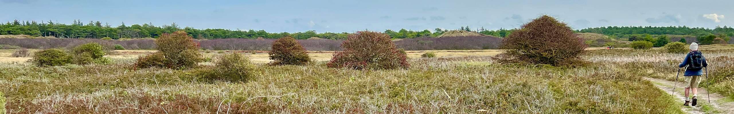 Klik om de knoppen te tonen of te verbergen