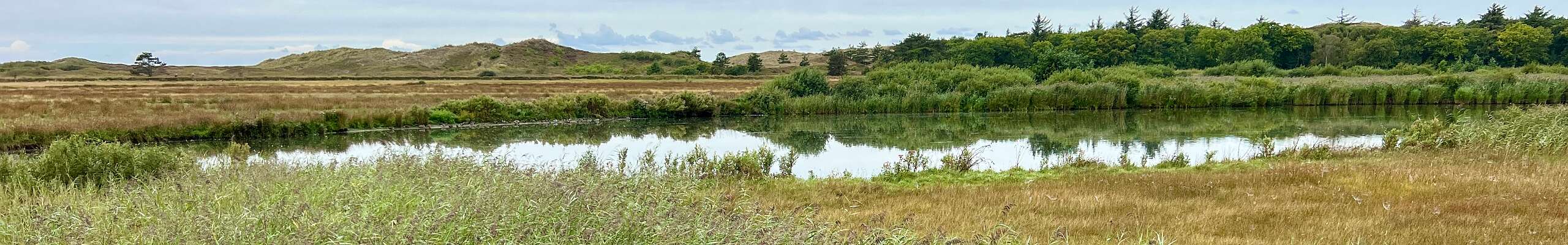 Klik om de knoppen te tonen of te verbergen