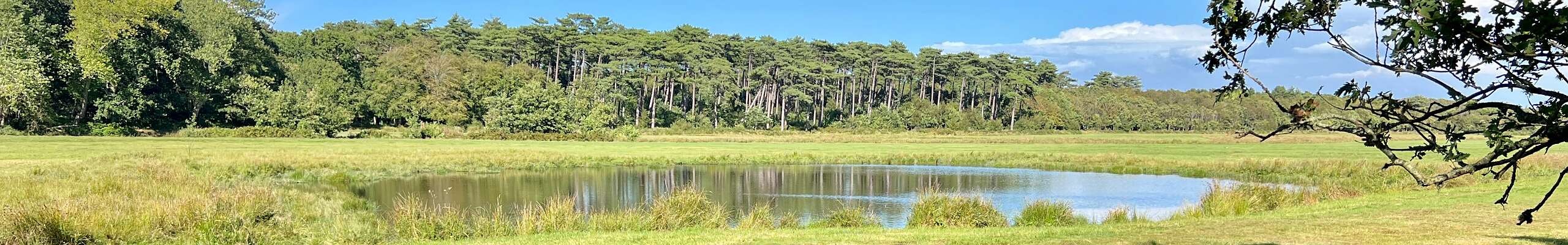 Klik om de knoppen te tonen of te verbergen