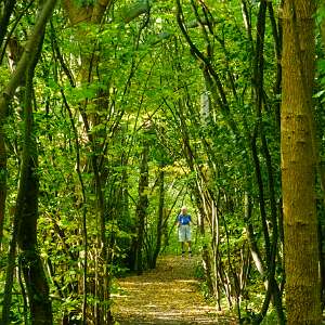 Natuurwandeling 't Nient