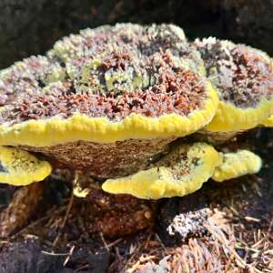 Rond de Bleekersvallei