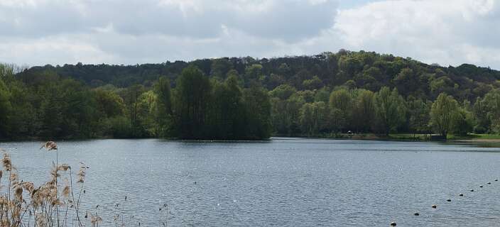 Wylerbergmeer