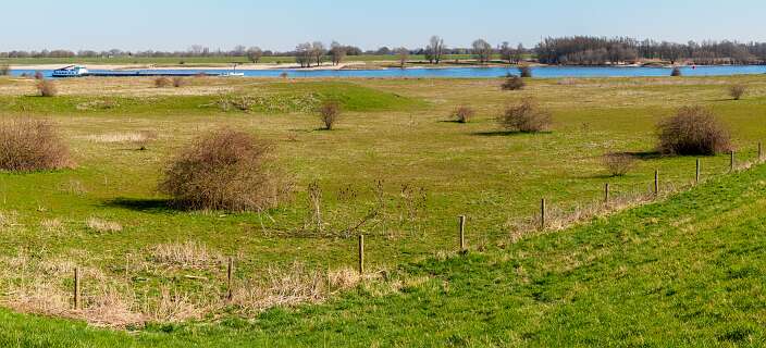 De Waal