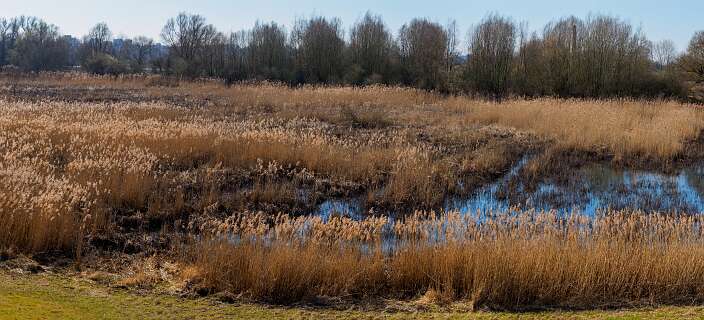 Gisteren liepen we op het pad rechts