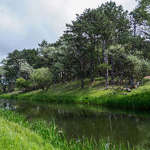  Waterleidingduinen Oost