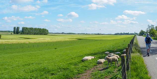 Braassemermeer, Wijde Aa