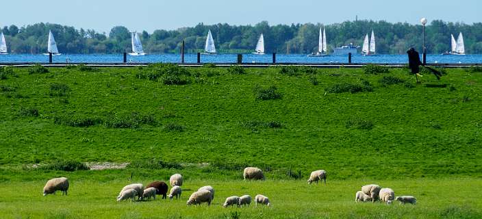 Braassemermeer, Wijde Aa